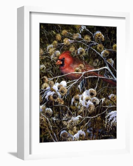 Cardinal and Thistles-Kevin Dodds-Framed Giclee Print