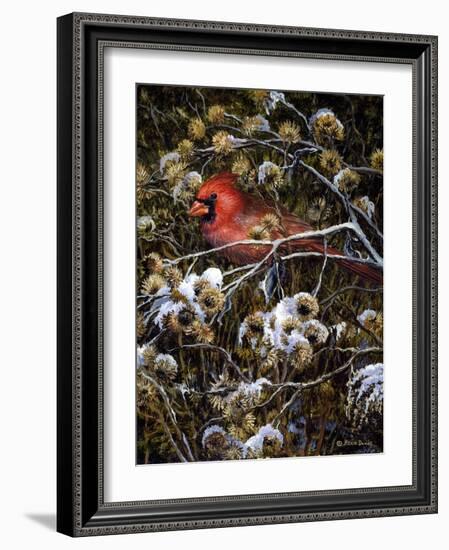 Cardinal and Thistles-Kevin Dodds-Framed Giclee Print