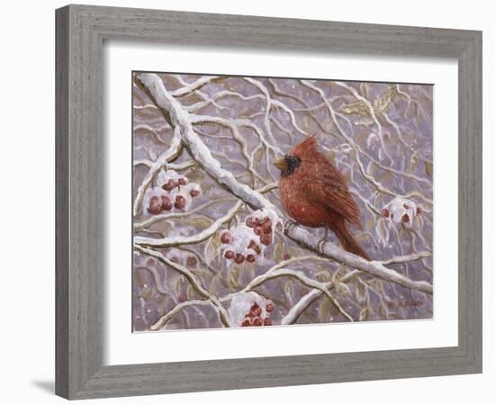 Cardinal and Wild Berries-Kevin Dodds-Framed Giclee Print