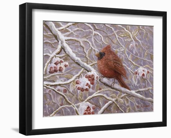 Cardinal and Wild Berries-Kevin Dodds-Framed Giclee Print