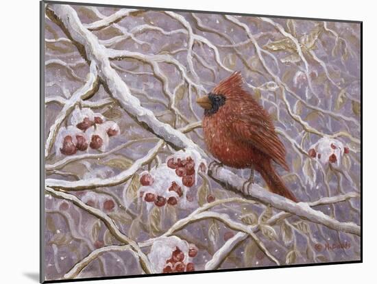 Cardinal and Wild Berries-Kevin Dodds-Mounted Giclee Print