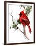 Cardinal Bird-Suren Nersisyan-Framed Art Print