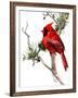 Cardinal Bird-Suren Nersisyan-Framed Art Print