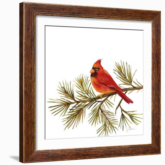 Cardinal Christmas V on White-Silvia Vassileva-Framed Art Print