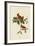 Cardinal Grosbeak-John James Audubon-Framed Art Print
