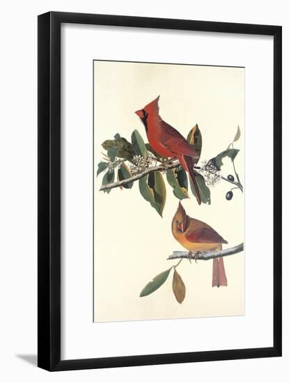 Cardinal Grosbeak-John James Audubon-Framed Art Print