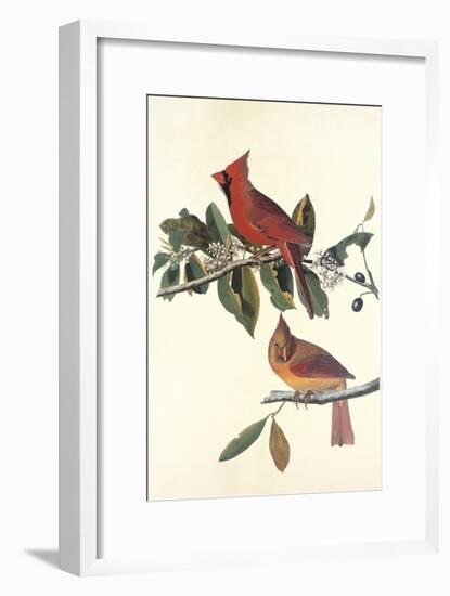 Cardinal Grosbeak-John James Audubon-Framed Art Print