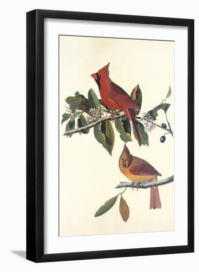 Cardinal Grosbeak-John James Audubon-Framed Art Print