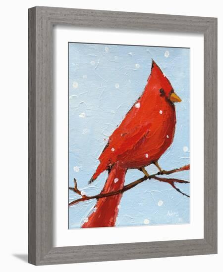 Cardinal I-Phyllis Adams-Framed Art Print