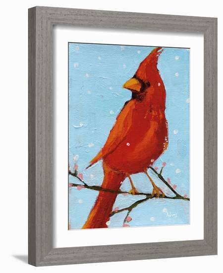 Cardinal II-Phyllis Adams-Framed Art Print