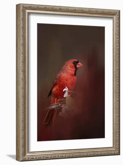 Cardinal in Antique Red-Jai Johnson-Framed Giclee Print