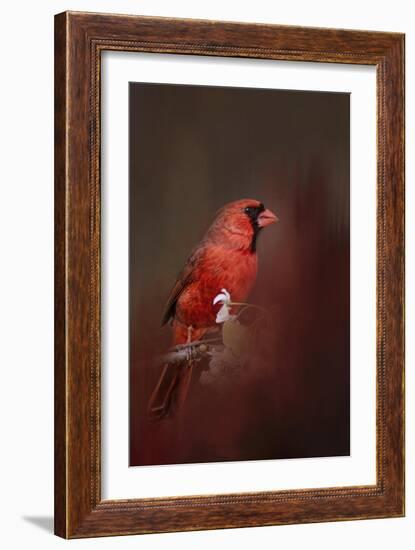 Cardinal in Antique Red-Jai Johnson-Framed Giclee Print