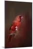 Cardinal in Antique Red-Jai Johnson-Mounted Giclee Print