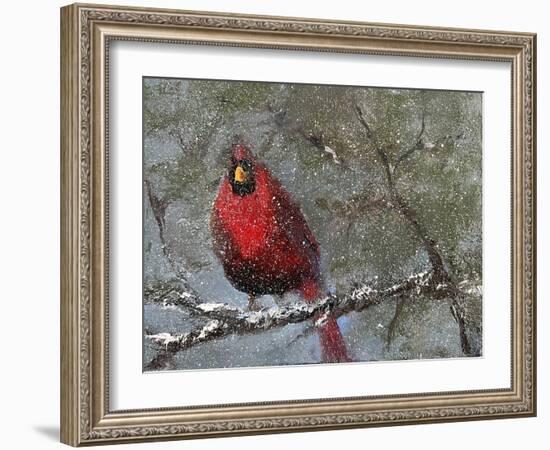 Cardinal in Snow I-Marilyn Wendling-Framed Art Print