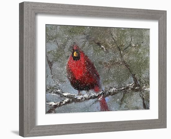 Cardinal in Snow I-Marilyn Wendling-Framed Art Print