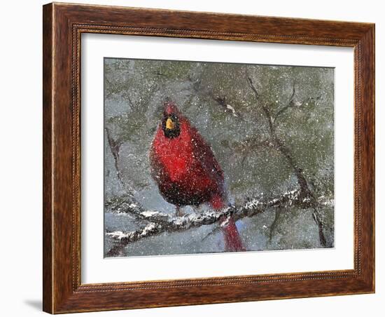 Cardinal in Snow I-Marilyn Wendling-Framed Art Print