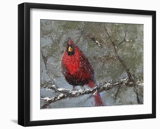 Cardinal in Snow I-Marilyn Wendling-Framed Art Print