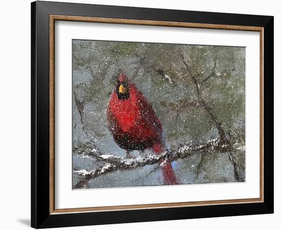 Cardinal in Snow I-Marilyn Wendling-Framed Art Print