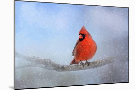 Cardinal in the Snow-Jai Johnson-Mounted Giclee Print