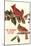 Cardinal, Kentucky's State Bird-null-Mounted Art Print