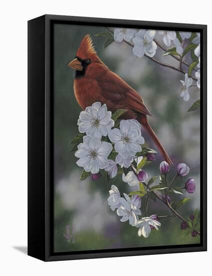 Cardinal Spring Blossoms-Jeffrey Hoff-Framed Premier Image Canvas