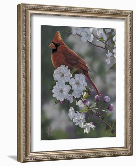 Cardinal Spring Blossoms-Jeffrey Hoff-Framed Photographic Print