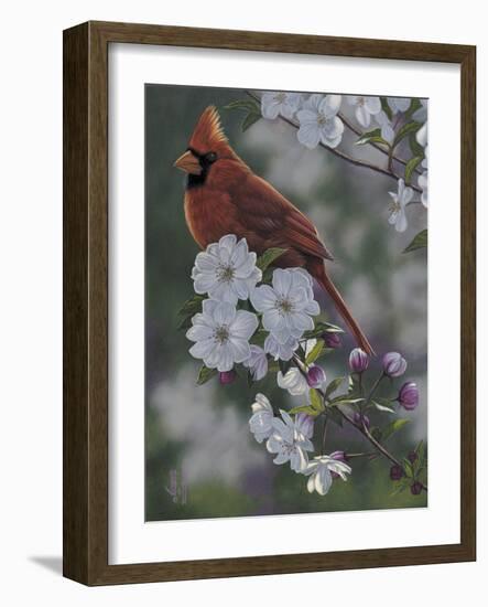 Cardinal Spring Blossoms-Jeffrey Hoff-Framed Photographic Print