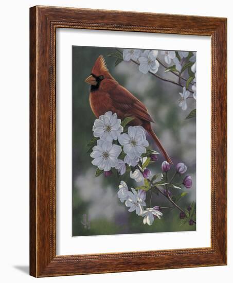 Cardinal Spring Blossoms-Jeffrey Hoff-Framed Photographic Print