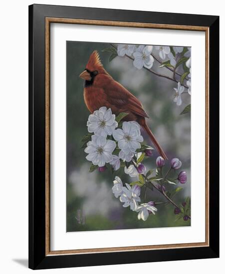 Cardinal Spring Blossoms-Jeffrey Hoff-Framed Photographic Print