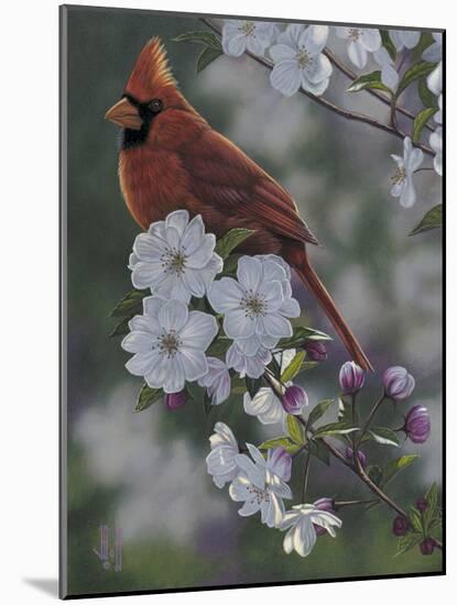 Cardinal Spring Blossoms-Jeffrey Hoff-Mounted Photographic Print