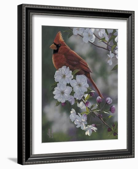 Cardinal Spring Blossoms-Jeffrey Hoff-Framed Photographic Print