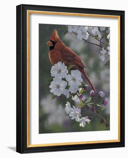 Cardinal Spring Blossoms-Jeffrey Hoff-Framed Photographic Print