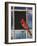 Cardinal Window-Chris Vest-Framed Art Print