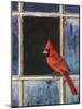 Cardinal Window-Chris Vest-Mounted Art Print