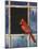 Cardinal Window-Chris Vest-Mounted Art Print