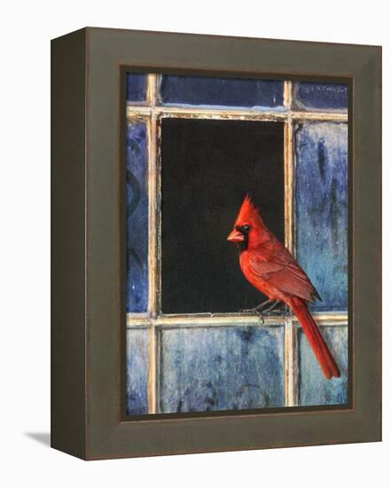 Cardinal Window-Chris Vest-Framed Stretched Canvas