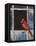 Cardinal Window-Chris Vest-Framed Stretched Canvas