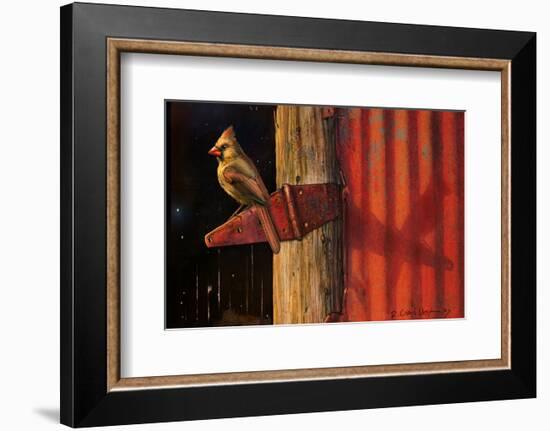 Cardinal-Chris Vest-Framed Art Print