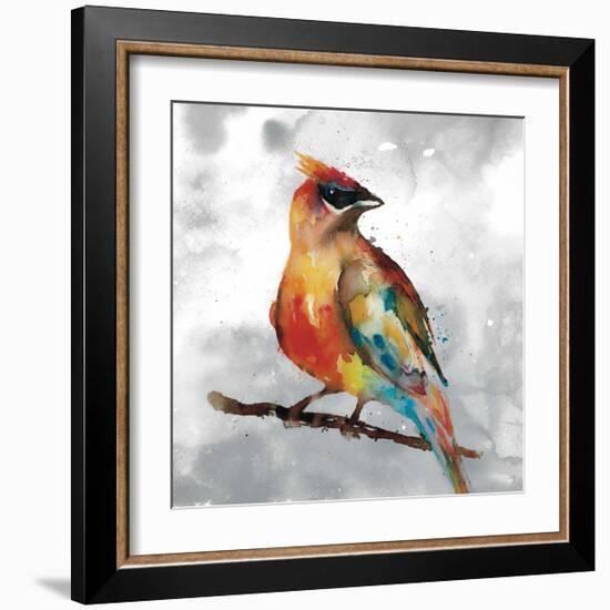 Cardinal-Stephane Fontaine-Framed Giclee Print