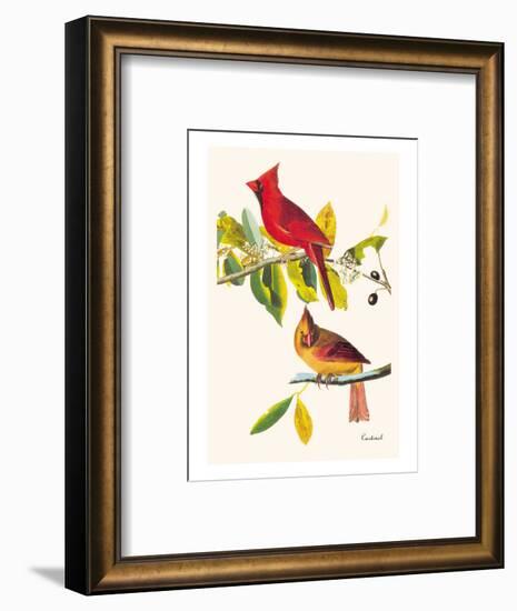 Cardinal-John James Audubon-Framed Premium Giclee Print