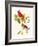 Cardinal-John James Audubon-Framed Premium Giclee Print