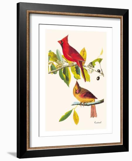 Cardinal-John James Audubon-Framed Premium Giclee Print