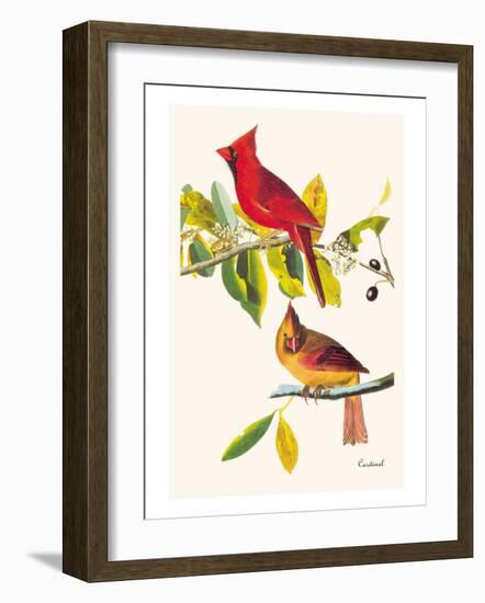 Cardinal-John James Audubon-Framed Art Print