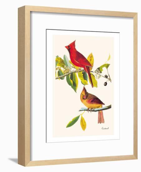 Cardinal-John James Audubon-Framed Art Print