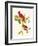 Cardinal-John James Audubon-Framed Art Print