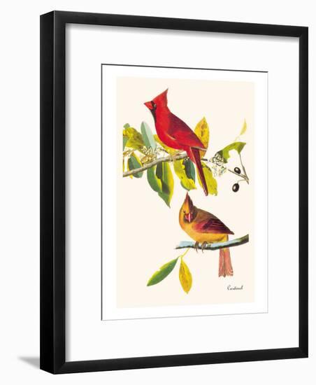 Cardinal-John James Audubon-Framed Art Print