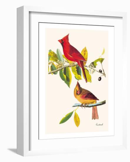 Cardinal-John James Audubon-Framed Art Print