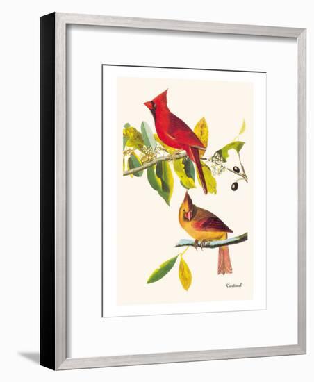 Cardinal-John James Audubon-Framed Art Print