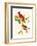 Cardinal-John James Audubon-Framed Art Print