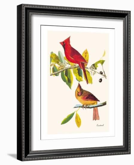 Cardinal-John James Audubon-Framed Art Print